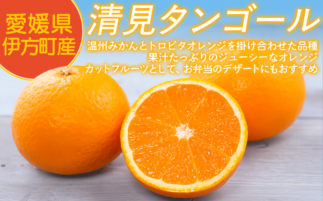 【先行予約】【家庭用】清見タンゴール 3kg ※北海道・沖縄・離島への配送不可（2027年3月11日より順次発送） IKTAT005 
