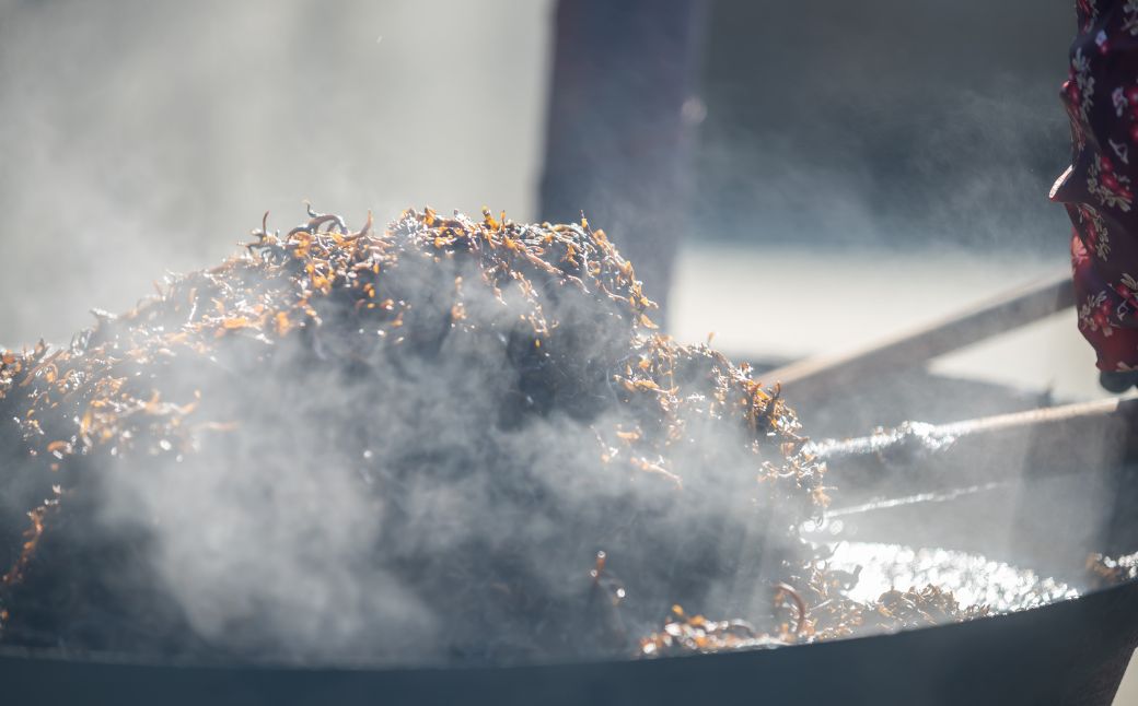 【2026年3月中旬以降順次配送】薪炊き 鉄釜ひじき 40g×5袋 計200g 愛媛県佐田岬産 ※離島への配送不可 IKTAL001 