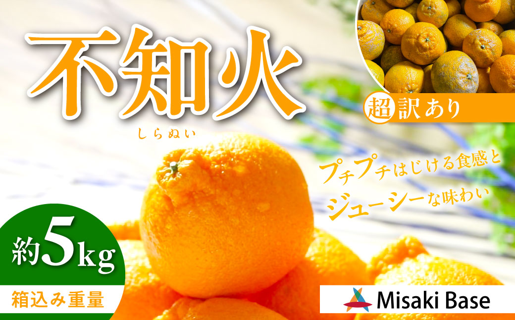 【先行受付】【※超訳あり】不知火（しらぬい） 5kg ※離島への配送不可 （2026年2月中旬より順次発送） IKTAB005 