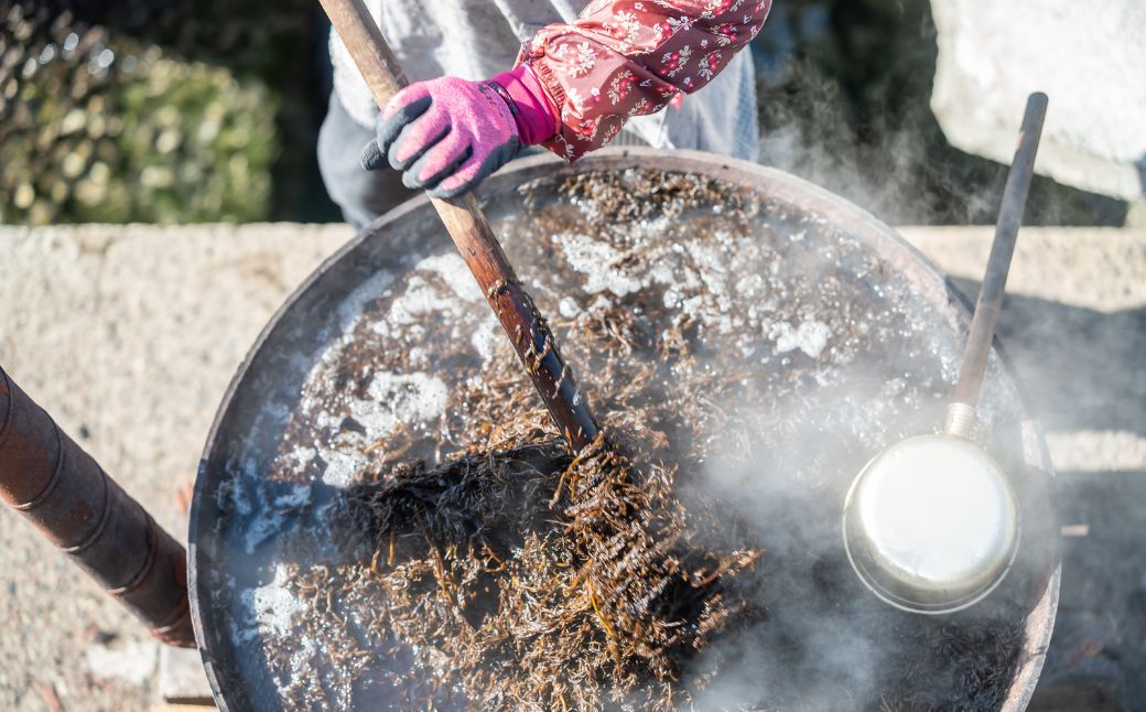 【2026年3月中旬以降順次配送】薪炊き 鉄釜ひじき 40g×5袋 計200g 愛媛県佐田岬産 ※離島への配送不可 IKTAL001 