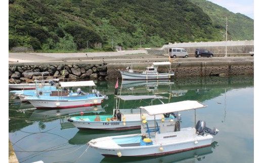 【先行予約】【数量限定】佐田岬海士のあわび・さざえセットB 【4/15～10/25の漁解禁日に合わせて発送】　※北海道・東北地方・沖縄・離島への配送不可　※2024年4月下旬～11月上旬頃に順次発送予定