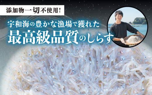 【佐田岬・漁師直送】【3ヵ月連続定期便】 木嶋水産の釜揚げしらす 6kg（1回250g×8P×3回) ｜ 魚介類 海産物 魚 釜揚げ しらす シラス 小分け やみつき ご飯のお供 おつまみ 酒の肴 おやつ しらす丼 サラダ 海産物 冷凍 国産 愛媛県産 ※離島への配送不可