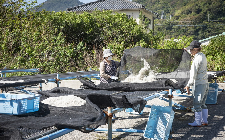 【愛媛県・佐田岬直送】木嶋水産の釜揚げしらす 2kg（250g×8パック）｜ 魚介類 海産物 魚 釜揚げ しらす シラス 小分け やみつき ご飯のお供 おつまみ 酒の肴 おやつ しらす丼 サラダ 海産物 魚 冷凍 国産 愛媛県産　※離島への配送不可