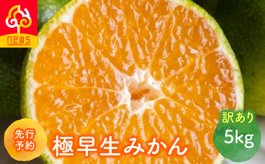 ãå
è¡äºçŽããèš³ãããæ¥µæ©çã¿ãã 5kgïŒ2026幎9æäžæ¬ããçºéäºå®ïŒIKTF029