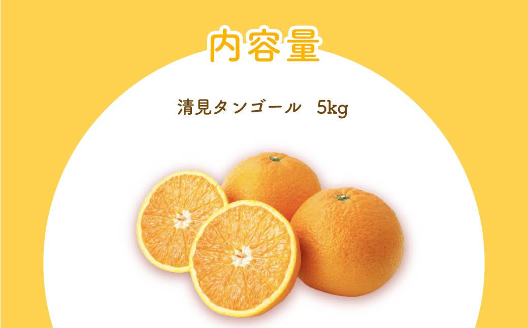 【先行予約】清見タンゴール（貯蔵・生果5kg）※離島への配送不可（2026年4月下旬より順次発送予定） IKTBD007