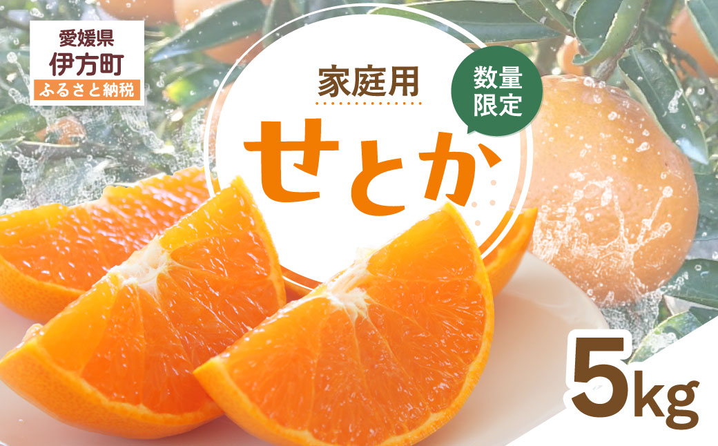 【先行受付】【数量限定】【家庭用】せとか（生果）5kg（2027年2月頃より順次発送） IKTQ010