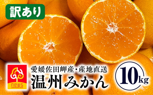 【訳あり】温州みかん 10kg ｜ 柑橘 蜜柑 みかん mikan ミカン 果物 フルーツ 愛媛県産 伊方町 株式会社ニュウズ ※離島への配送不可 ※2024年11月下旬頃～12月下旬頃に順次発送予定