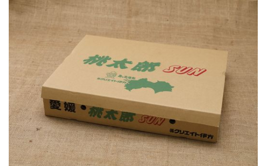 【産地直送】愛媛県伊方町産 桃太郎トマト（4kg、20〜24玉）◇