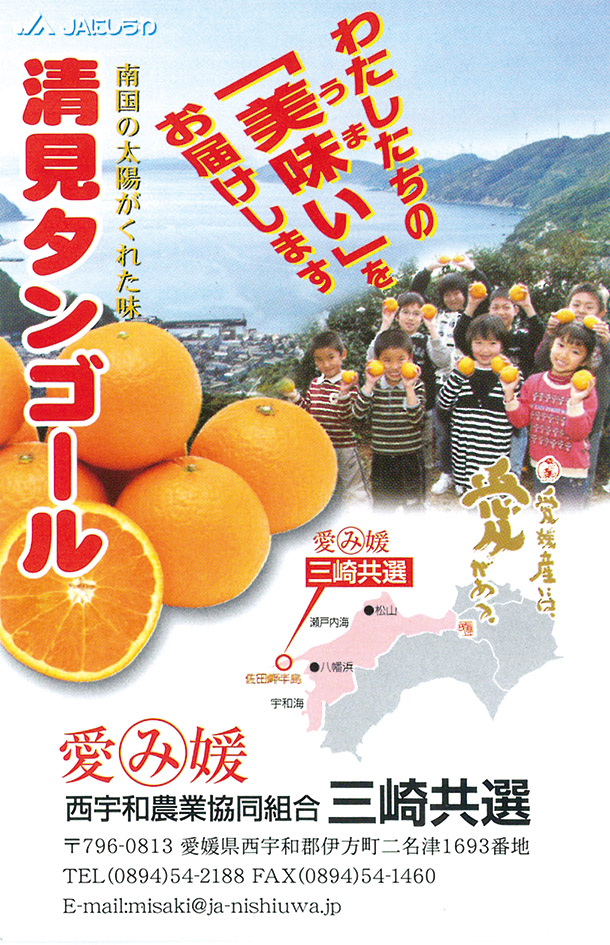【先行予約】清見タンゴール（生果5kg）※離島への配送不可（2026年3月上旬より順次発送予定） IKTBD015