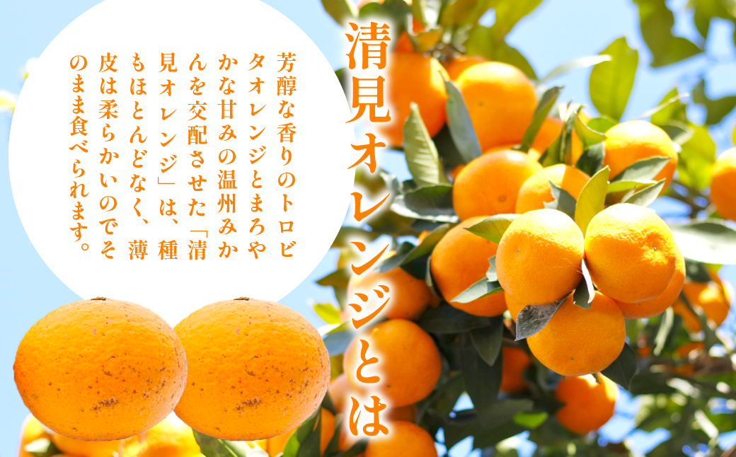 縲仙郁。御コ育エ縲題ィウ縺ゅj 貂隕九が繝ャ繝ウ繧ク險9kg 窶サ髮「蟲カ縺ク縺ョ驟埼∽ク榊庄シ2026蟷エ3譛井ク頑流鬆繧医j鬆谺。逋コ騾∽コ亥ョ夲シ IKTAC009