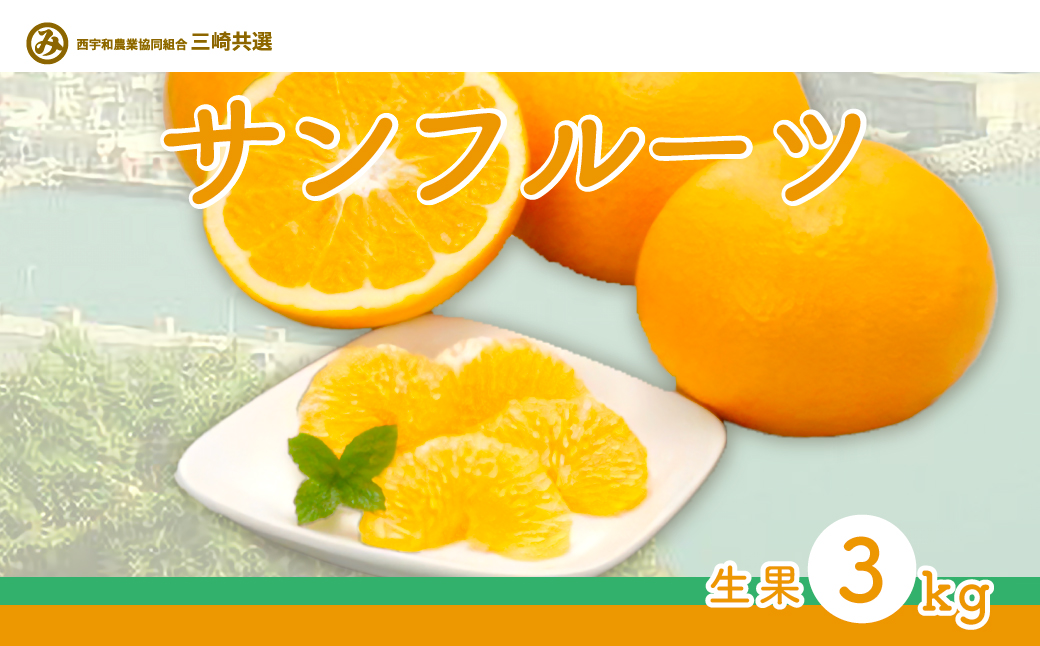 【先行予約】サンフルーツ（生果3kg）※離島への配送不可（2026年2月上旬より順次発送） IKTBD012
