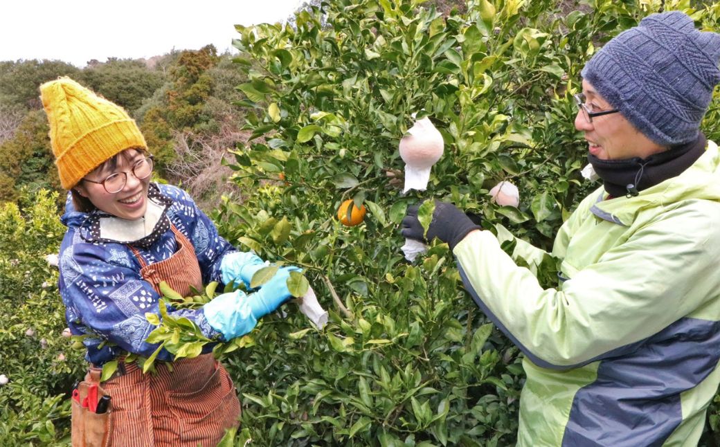 Premium縺ソ縺九s繧ク繝・繝シ繧ケシ2譛ャ繧サ繝繝茨シ俄サ蛹玲オキ驕薙サ豐也ク繝サ髮「蟲カ縺ク縺ョ驟埼∽ク榊庄 IKTAT002