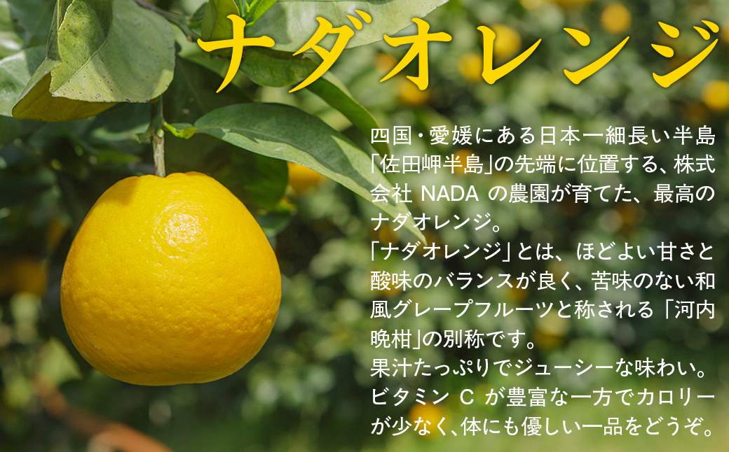 ナダオレンジ(河内晩柑)家庭用9kg（2026年5月中旬より順次発送） IKTC019 