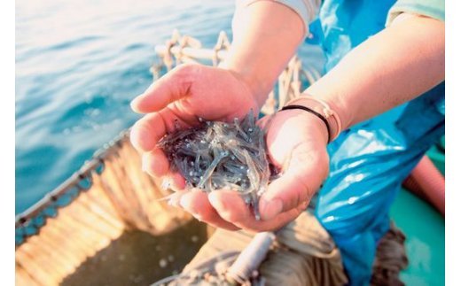 【食べるJAPAN美味アワード2021認定商品】福島さんの蒸ししらす（個包装タイプ） IKTB019 