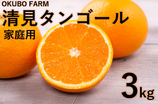 【家庭用】清見タンゴール 3kg ｜ 柑橘 みかん ミカン フルーツ 果物 愛媛　※北海道・沖縄・離島への配送不可　※2025年3月中旬頃に順次発送予定