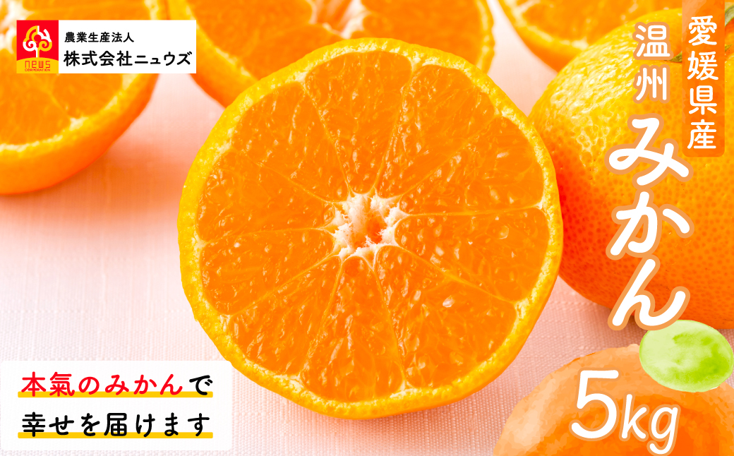 【先行予約】温州みかん（生果）5kg（2025年11月上旬より順次発送） IKTF013