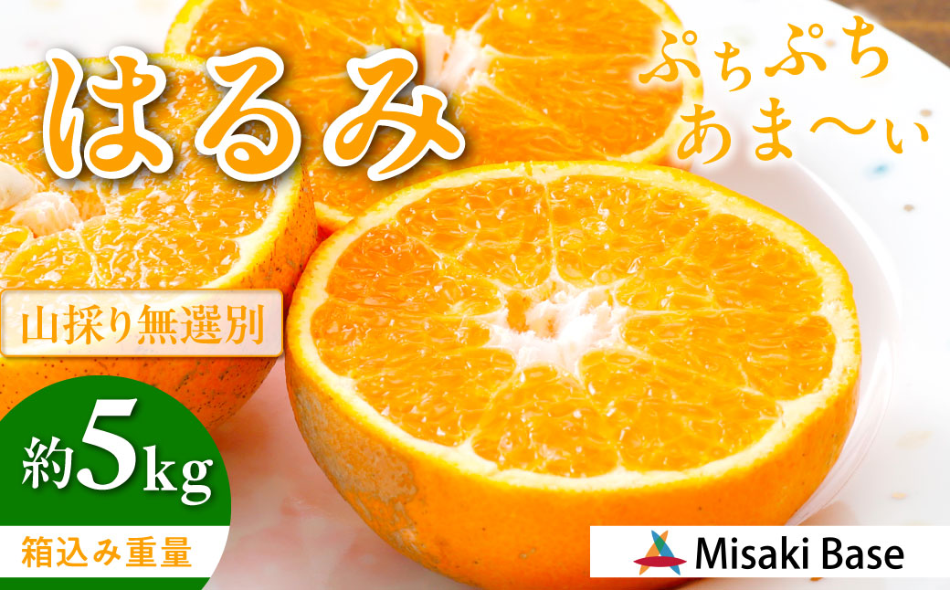 【先行受付】【数量限定】【山採り無選別】はるみ 5kg ※離島への配送不可（2026年2月より順次発送） IKTAB011