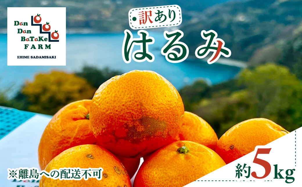 【先行予約】【訳あり】はるみ 約5kg　※2027年1月下旬から順次発送予定 IKTAU014