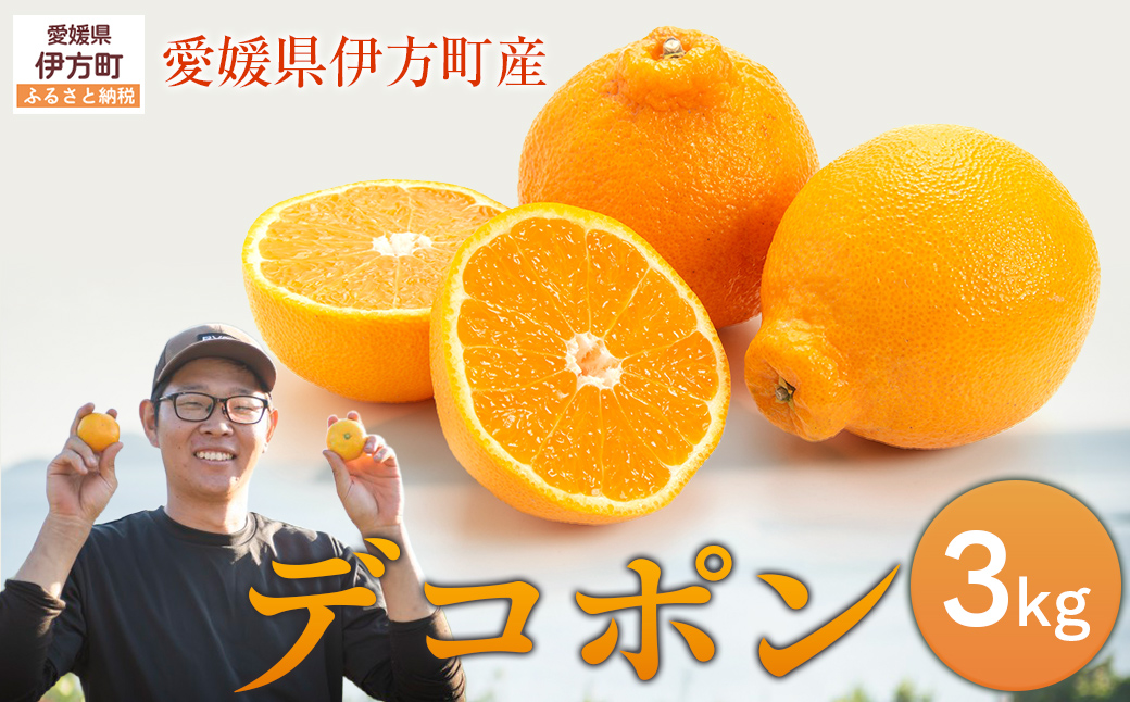 【先行予約】デコポン3kg ※離島への配送不可 （2027年2月10日より順次発送予定） IKTAG005