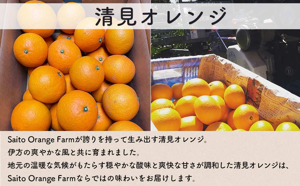 【先行予約】Saito Orange Farmの清見オレンジ10kg（2026年3月中旬頃より順次発送） IKTAQ008