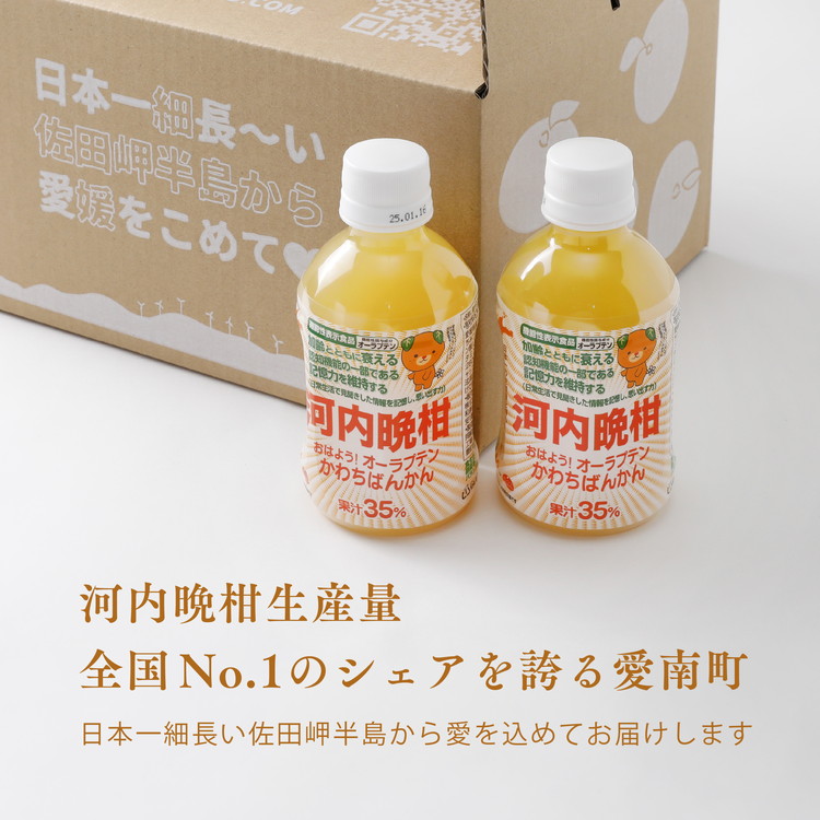 おはよう！オーラプテン河内晩柑ジュース（280ml×12本） ｜ 280ml 河内晩柑 愛南ゴールド 美生柑 みかん 機能性表示食品 オーラプテン 柑橘 飲料 中高年 記憶 認知 ジュース 健康 美容 はちみつ 伊方町 愛媛県 愛南町