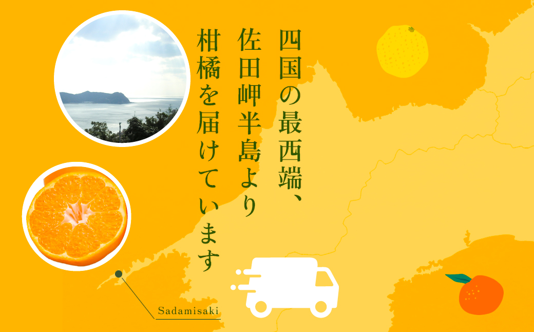 【先行予約】【数量限定】はるみ（生果5kg）※離島への配送不可（2026年1月下旬より順次発送予定） IKTBD009