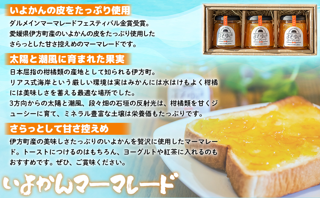 いよかんマーマレード「よそゆき」3点セット IKTI015