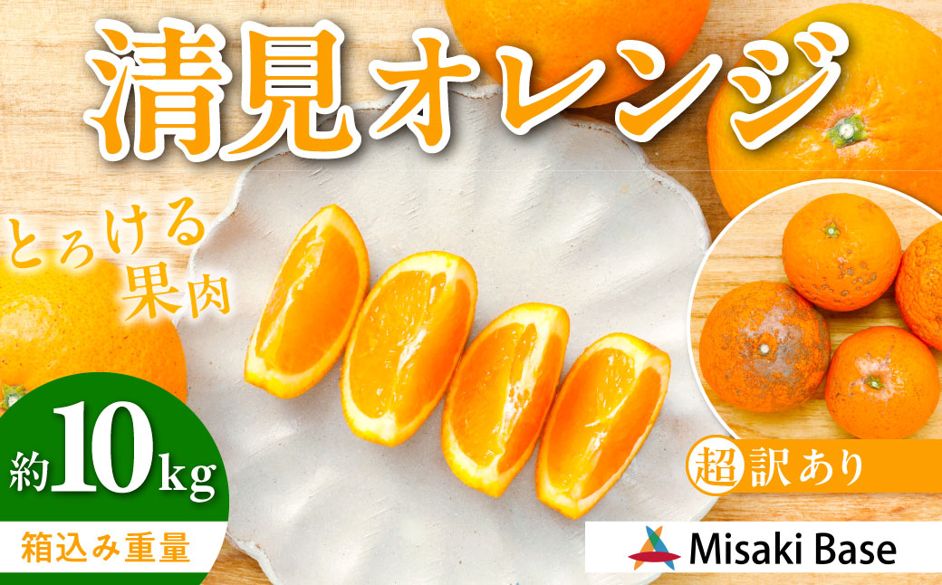 ãå
è¡åä»ããâ»è¶
èš³ãããæž
èŠãªã¬ã³ãž 10kg â»é¢å³¶ãžã®é
éäžå¯ïŒ2026幎3æäžæ¬ããé æ¬¡çºéïŒ IKTAB010