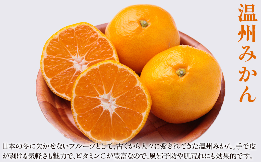 【先行予約】【数量限定】温州みかん5kg（石崎農園）※離島への配送不可 （2025年11月25日より順次発送予定） IKTAG001