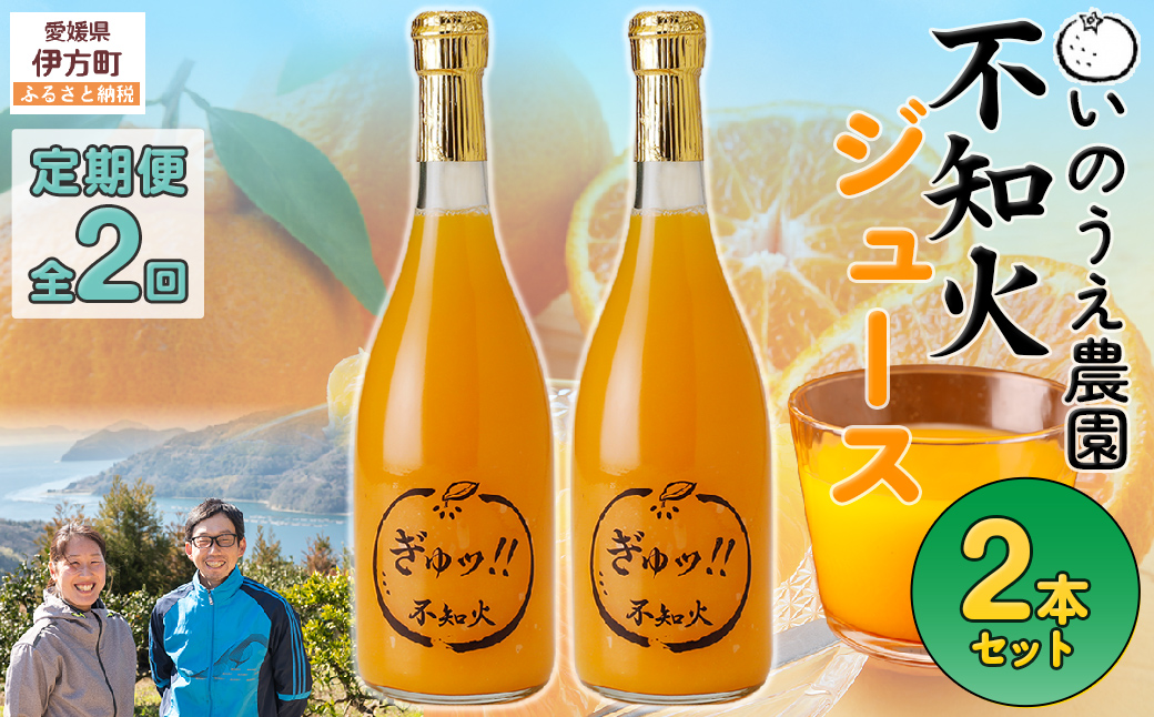 【定期便】いのうえ農園 不知火ジュース2本セット 全2回※離島への配送不可 IKTAI027