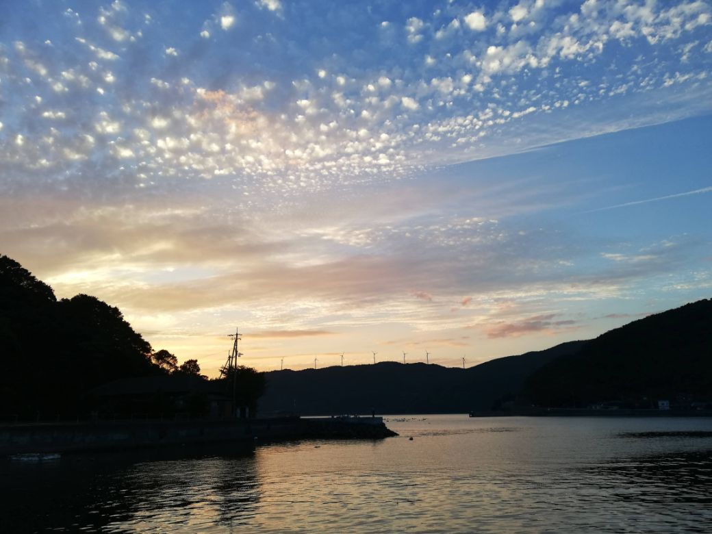 【栽培期間中農薬不使用】【先行受付】【数量限定】農園直送！愛媛県産 きよみ 10kg （2026年2月下旬頃より順次発送） IKTG022