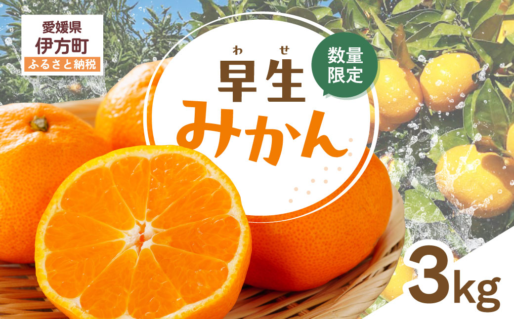 【先行受付】【数量限定】早生みかん（生果）3kg（2025年11月上旬より順次発送）IKTQ015