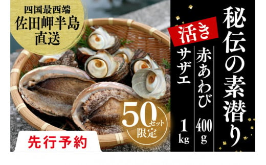 【先行予約】【数量限定】佐田岬海士のあわび・さざえセットB 【4/15～10/25の漁解禁日に合わせて発送】　※北海道・東北地方・沖縄・離島への配送不可　※2024年4月下旬～11月上旬頃に順次発送予定