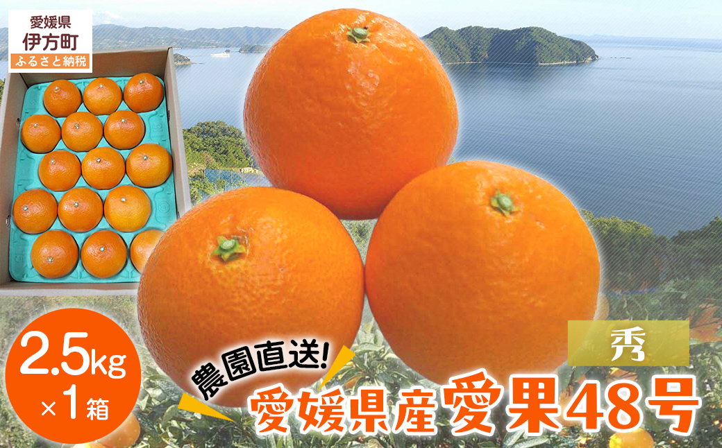 【先行予約】【数量限定】【秀】＼農園直送／愛果48号 約2.5kg ※離島への配送不可（2026年2月下旬より順次発送） 【ふるさと納税 人気 おすすめ ランキング 柑橘 みかん ミカン 蜜柑 愛果48号 果物 フルーツ 産地直送 農園直送 岡市農園 愛媛県産 愛媛県 伊方町 送料無料】 IKTV011