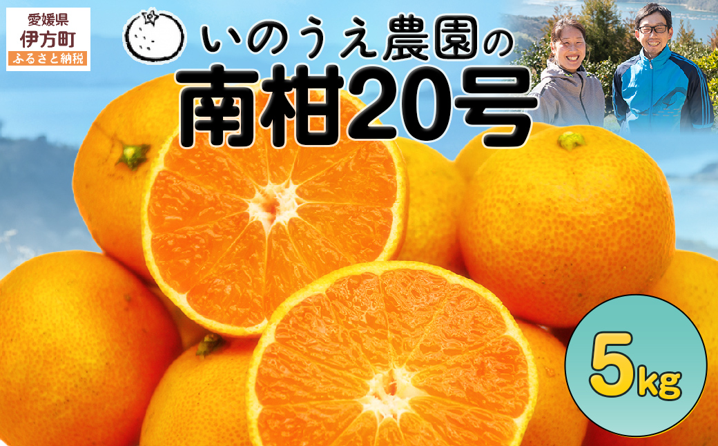 【先行予約】いのうえ農園の南柑20号 5kg ※離島への配送不可（2025年12月上旬より順次発送） IKTAI006