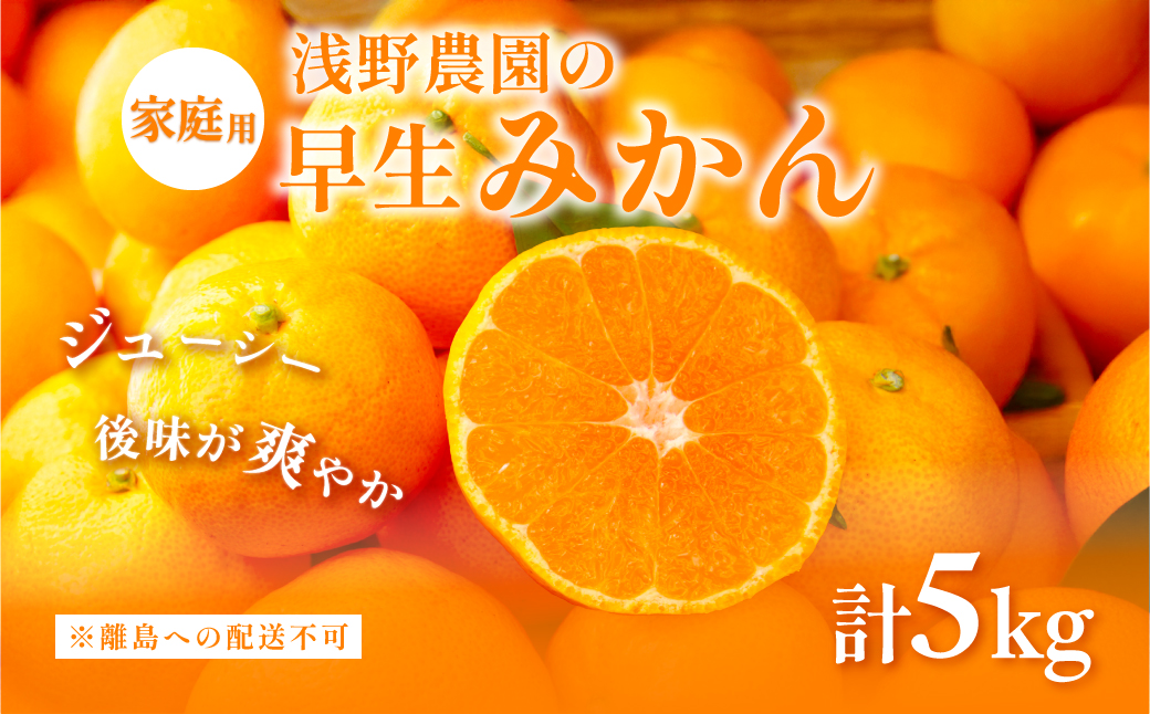 【先行予約】浅野農園の早生みかん 家庭用5kg ※着日指定不可 ※離島への配送不可（2025年11月上旬～11月中旬頃に順次発送予定） IKTAC002