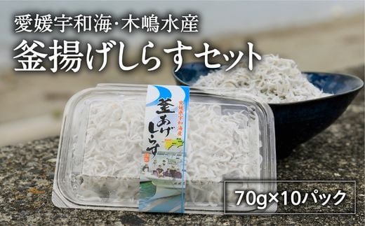 【愛媛県・佐田岬直送】木嶋水産の釜揚げしらすセット 700g（70g×10パック）｜ 魚介類 海産物 魚 釜揚げ しらす シラス 小分け やみつき ご飯のお供 おつまみ 酒の肴 おやつ しらす丼 サラダ 海産物 魚 冷凍 国産 愛媛県産　※離島への配送不可