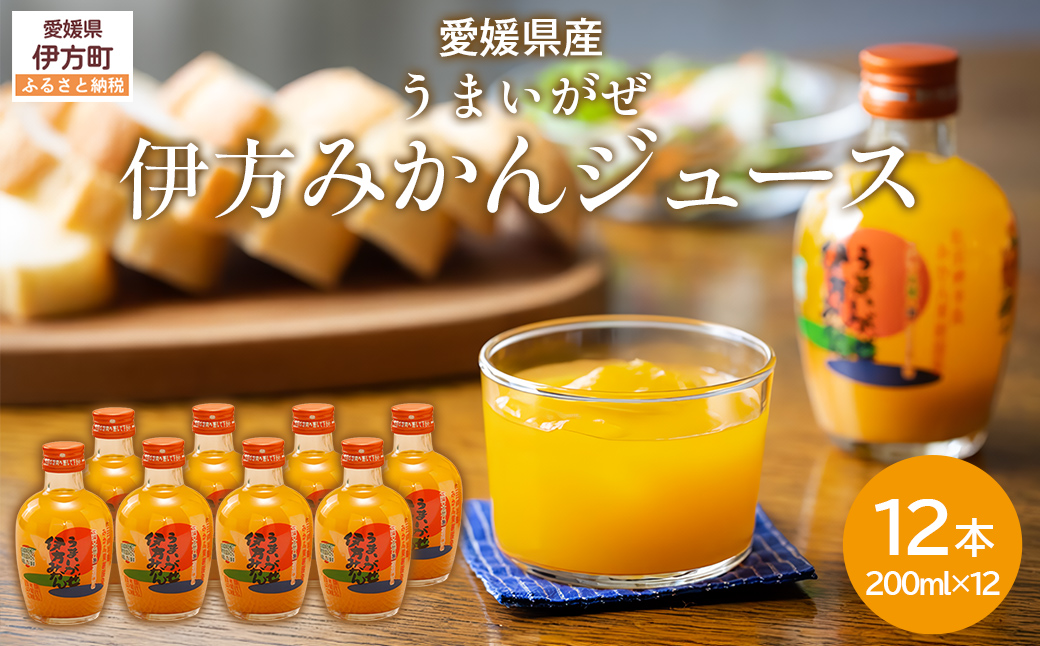 【先行予約】【愛媛県産】うまいがぜ伊方みかんジュース（200ml×12本） ストレート果汁100％ （2025年12月より順次発送） IKTI006