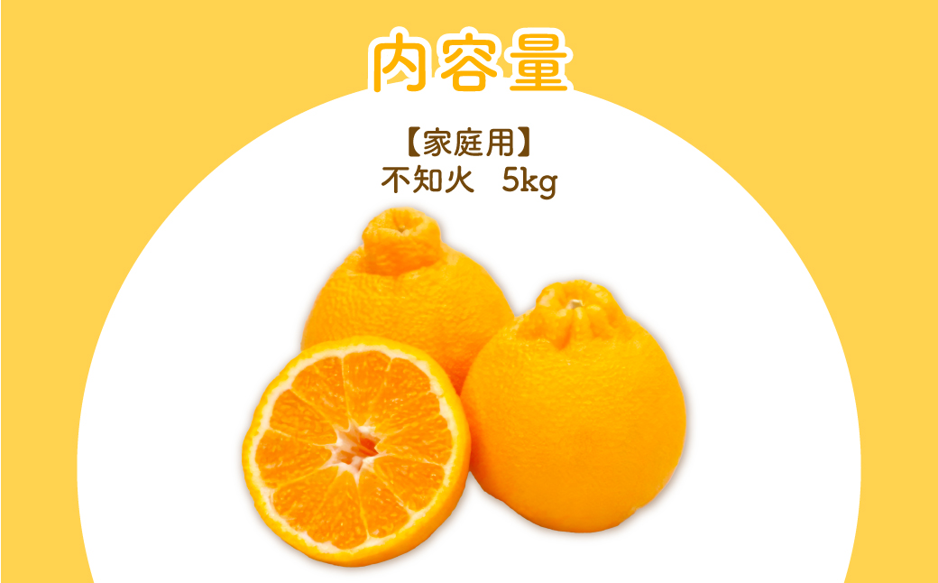 ãå
è¡äºçŽããå®¶åºçšãäžç¥ç« 5kg â»é¢å³¶ãžã®é
éäžå¯ïŒ2026幎2æäžæ¬ããé æ¬¡çºéäºå®ïŒ IKTBD016