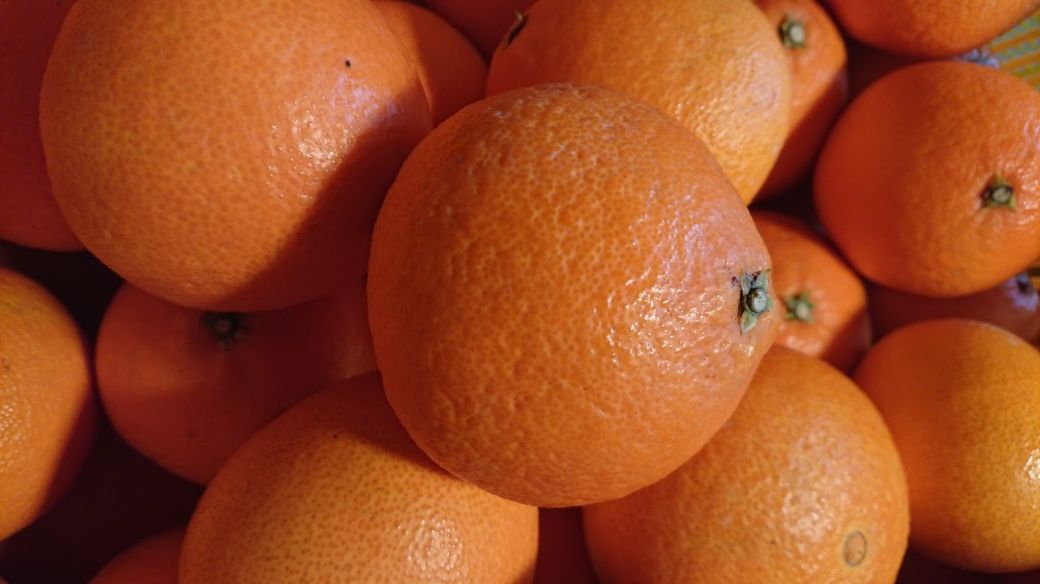 【先行受付】【数量限定】銀朱まどんな（生果）12個入り（3kg)（2025年11月下旬頃より順次発送） IKTQ007