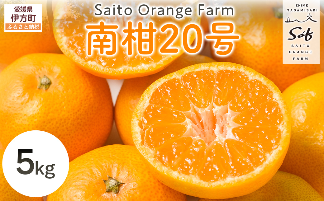 【先行予約】Saito Orange Farmの南柑20号5kg（2025年12月中下旬頃より順次発送） IKTAQ018