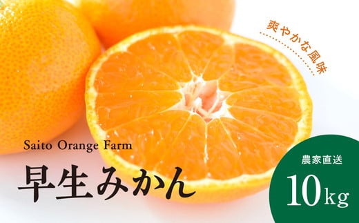 【先行予約】Saito Orange Farmの早生（わせ）みかん10kg ｜ 柑橘 みかん ミカン フルーツ  果物 愛媛　※離島への配送不可　※2024年12月上旬頃より順次発送予定