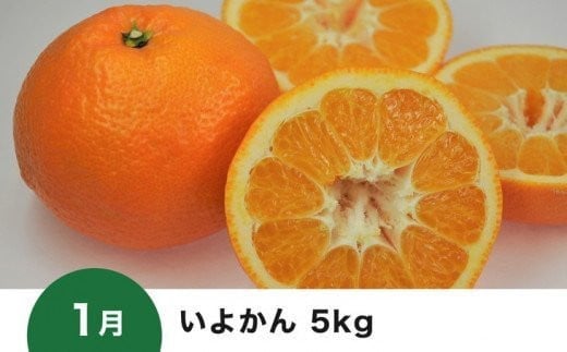 【愛媛県共通返礼品】【定期便】愛媛の柑橘定期便（全6回）（日の丸みかん・紅まどんな・いよかん・甘平・せとか・河内晩柑） ※2024年11月～2025年4月に毎月1回発送予定◇