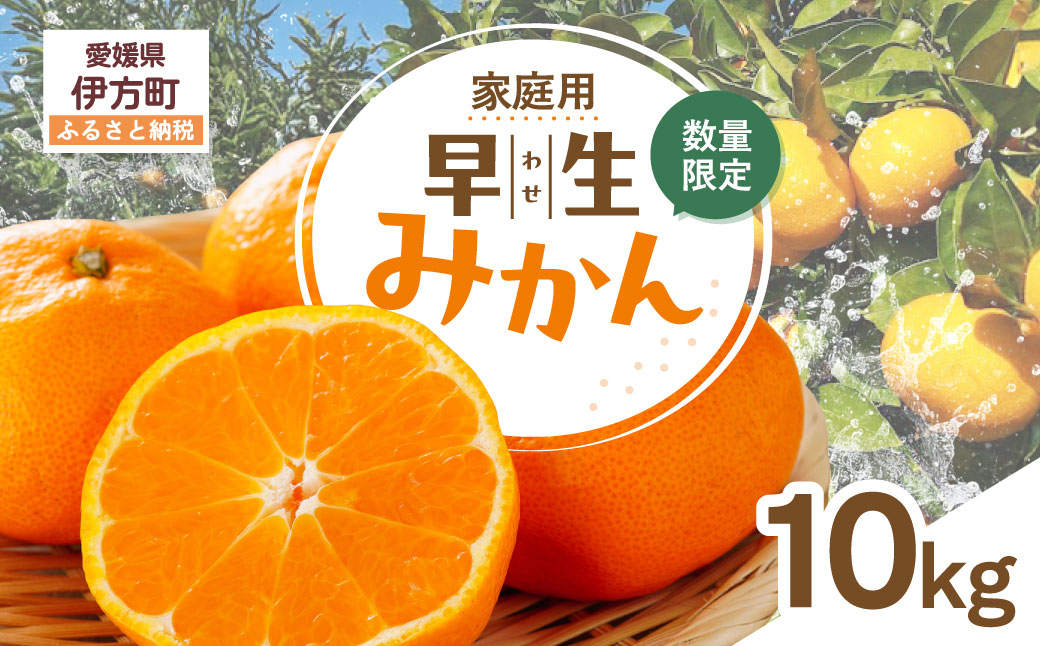 【先行受付】【数量限定】【家庭用】早生みかん（生果）10kg（2026年11月上旬頃より順次発送） IKTQ014