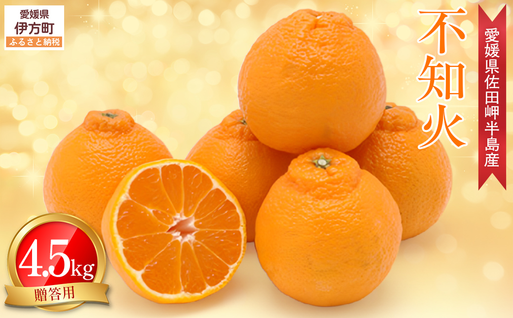 【先行予約】【農家直送】愛媛県産 不知火 贈答用 4.5kg （2026年2月下旬〜3月下旬頃発送予定） IKTC008
