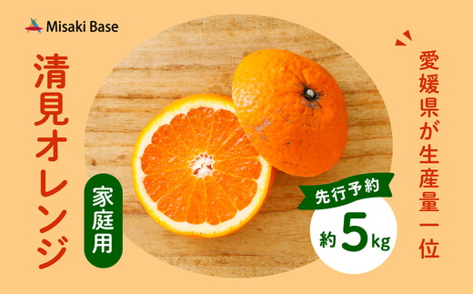 【先行受付】【家庭用】清見オレンジ 5kg | みかん 柑橘 ミカン 蜜柑 mikan 果物 フルーツ 糖度 甘い きよみ タンゴール 温州 オレンジ ミックス 愛媛県 伊方町 Misaki Base ※2025年3月中旬～4月中旬頃に順次発送予定 ※離島への配送不可