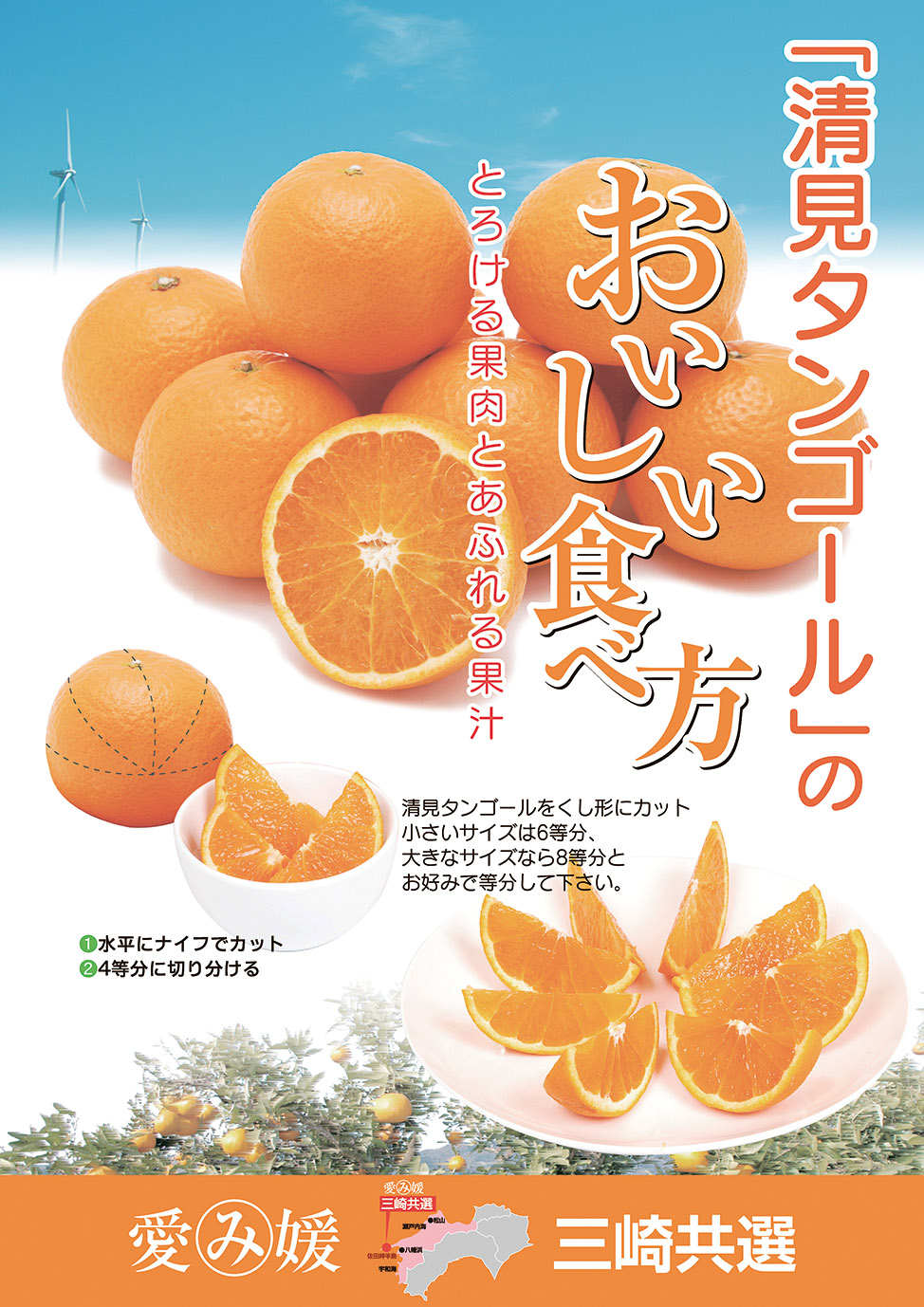 【先行予約】清見タンゴール（生果2.5kg）※離島への配送不可（2026年3月上旬より順次発送予定） IKTBD014