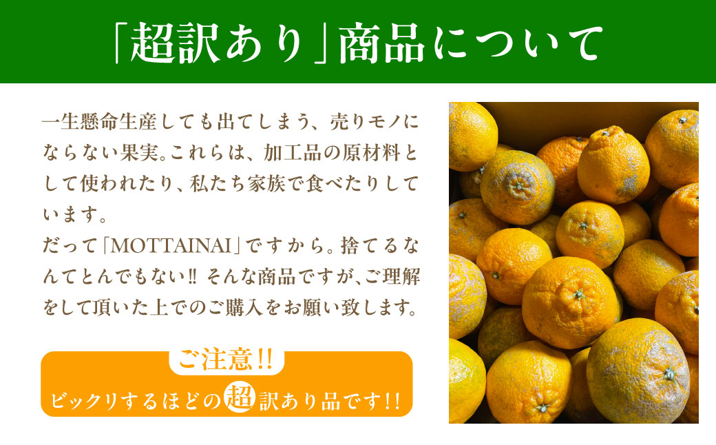 【先行受付】【※超訳あり】不知火（しらぬい） 5kg ※離島への配送不可 （2026年2月中旬より順次発送） IKTAB005 