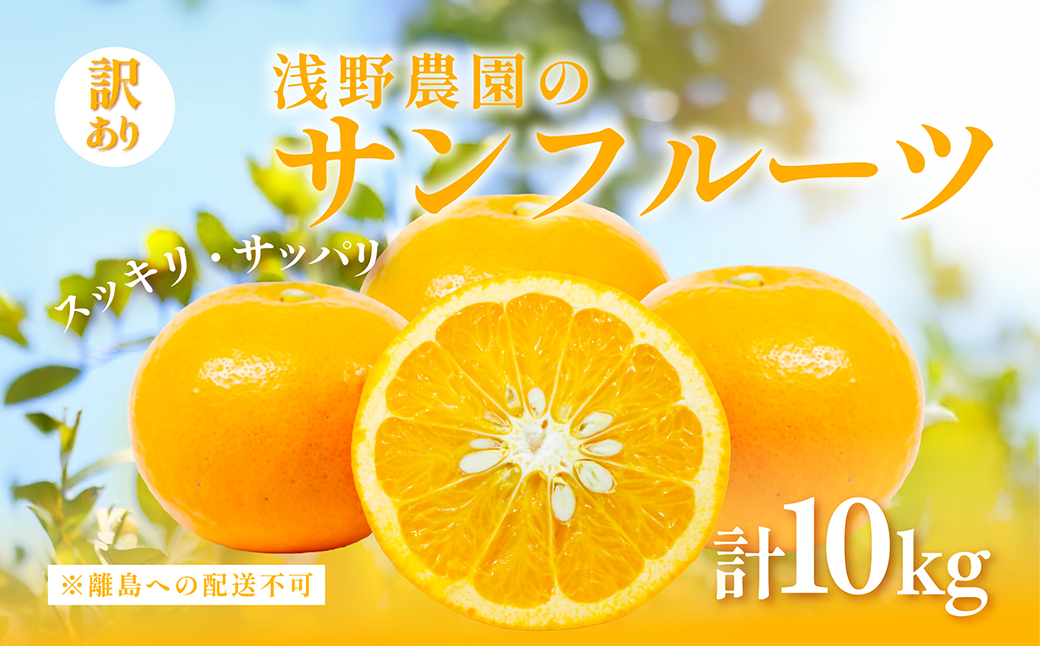 【先行予約】【訳あり】浅野農園のサンフルーツ 10kg ※離島への配送不可（2026年3月中旬頃より順次発送予定） IKTAC011