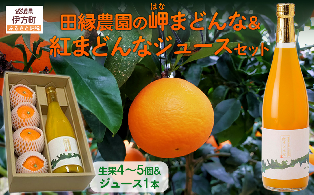 【先行予約】【数量限定】田縁農園の岬（はな）まどんな生果＆紅まどんなジュースセット （2025年12月10日より順次発送）  IKTA004